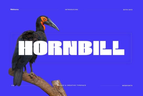 Hornbill: A Bold Display Font for Impactful Designs